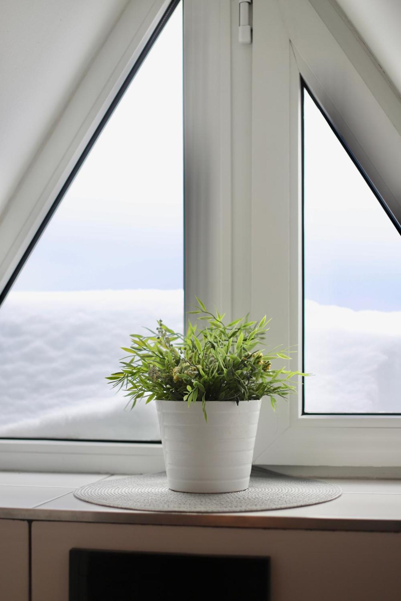 Apartman U Bobovky - Lipno Nad Vltavou Buitenkant foto